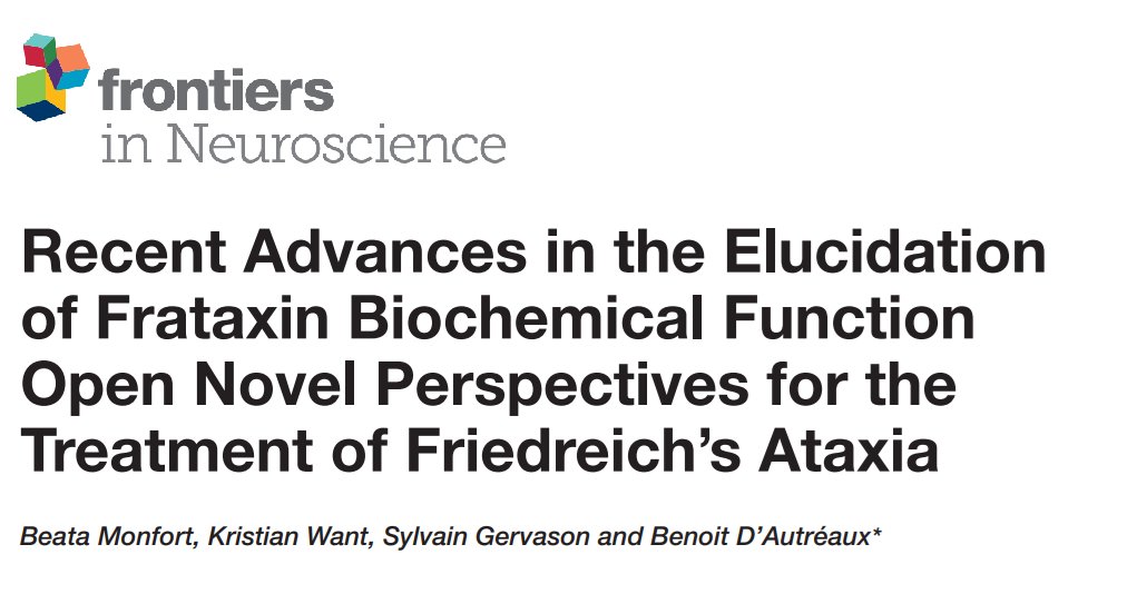 Frontiers in Neuroscience 2022